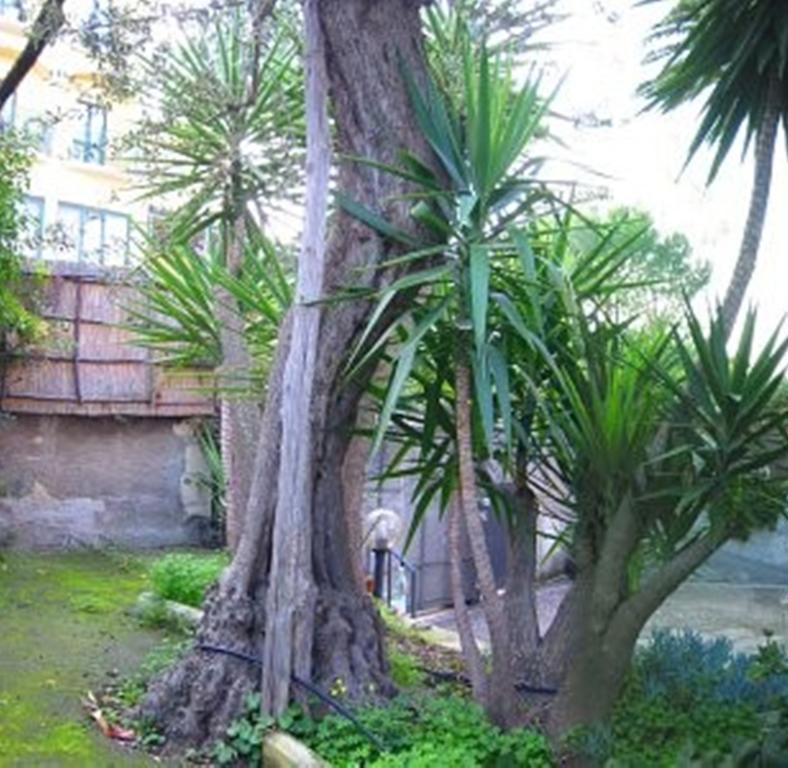 سورينتو Villa Orchidea الغرفة الصورة